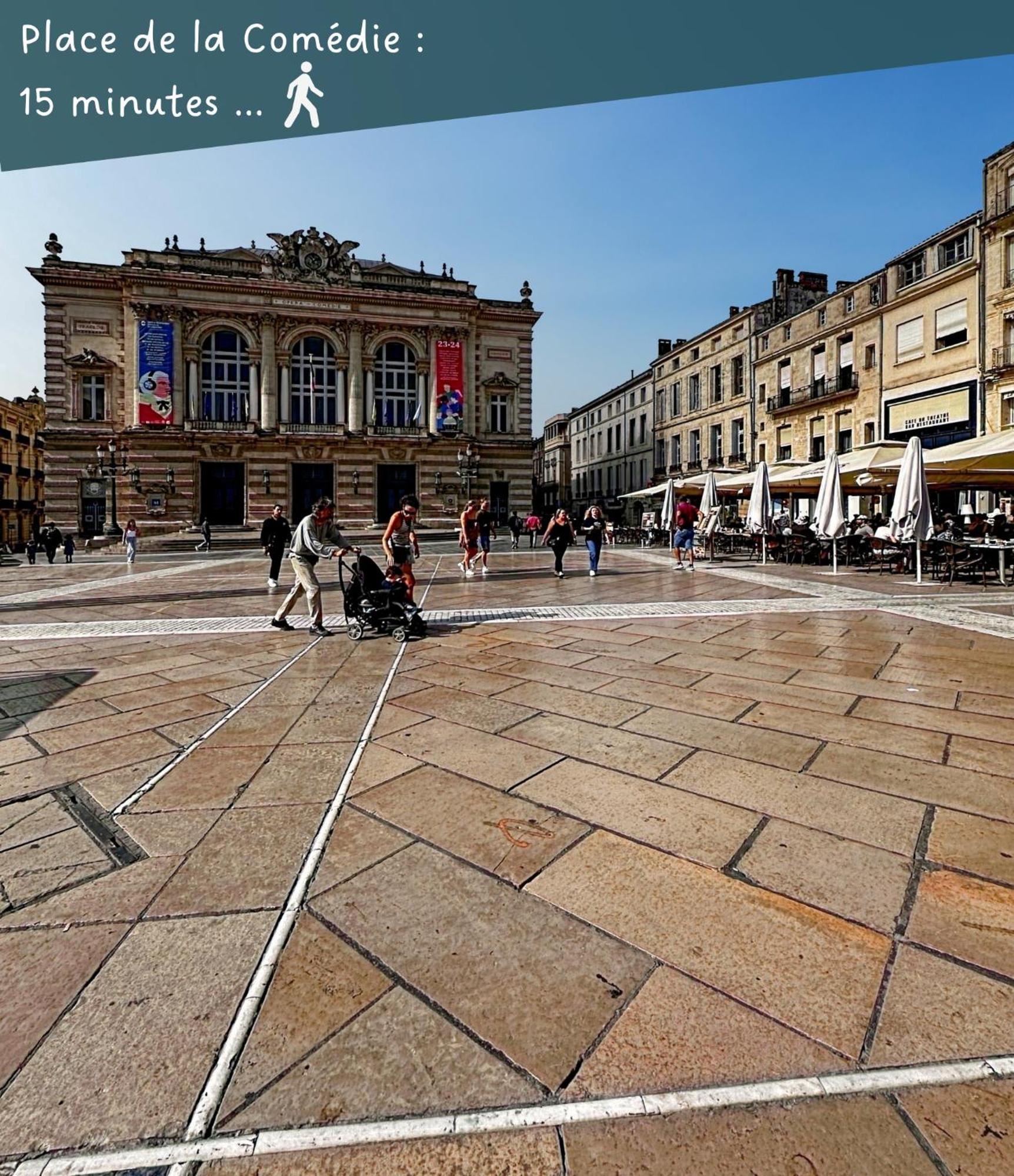 Appartement Entier Cosy Avec Balcon - Centre Montpellier Zewnętrze zdjęcie